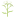 Логотип greyelfen