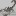 ������� The Alliance of Dark Scorpions Or